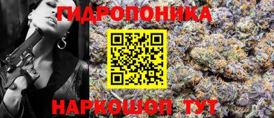 прущие крисы Будённовск