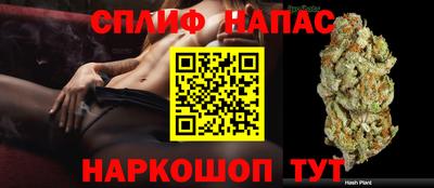 прущие крисы Будённовск