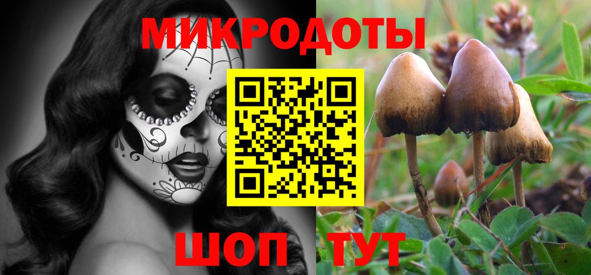 Псилоцибиновые грибы Psilocybe Феодосия